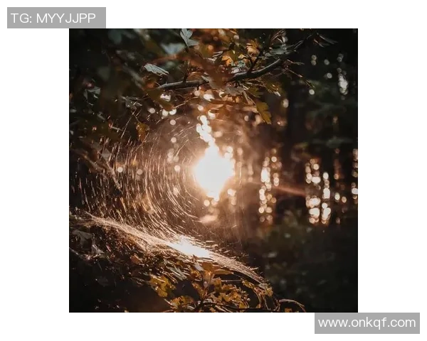 萨林杰的文学世界探索与人性深邃思考的交织之旅